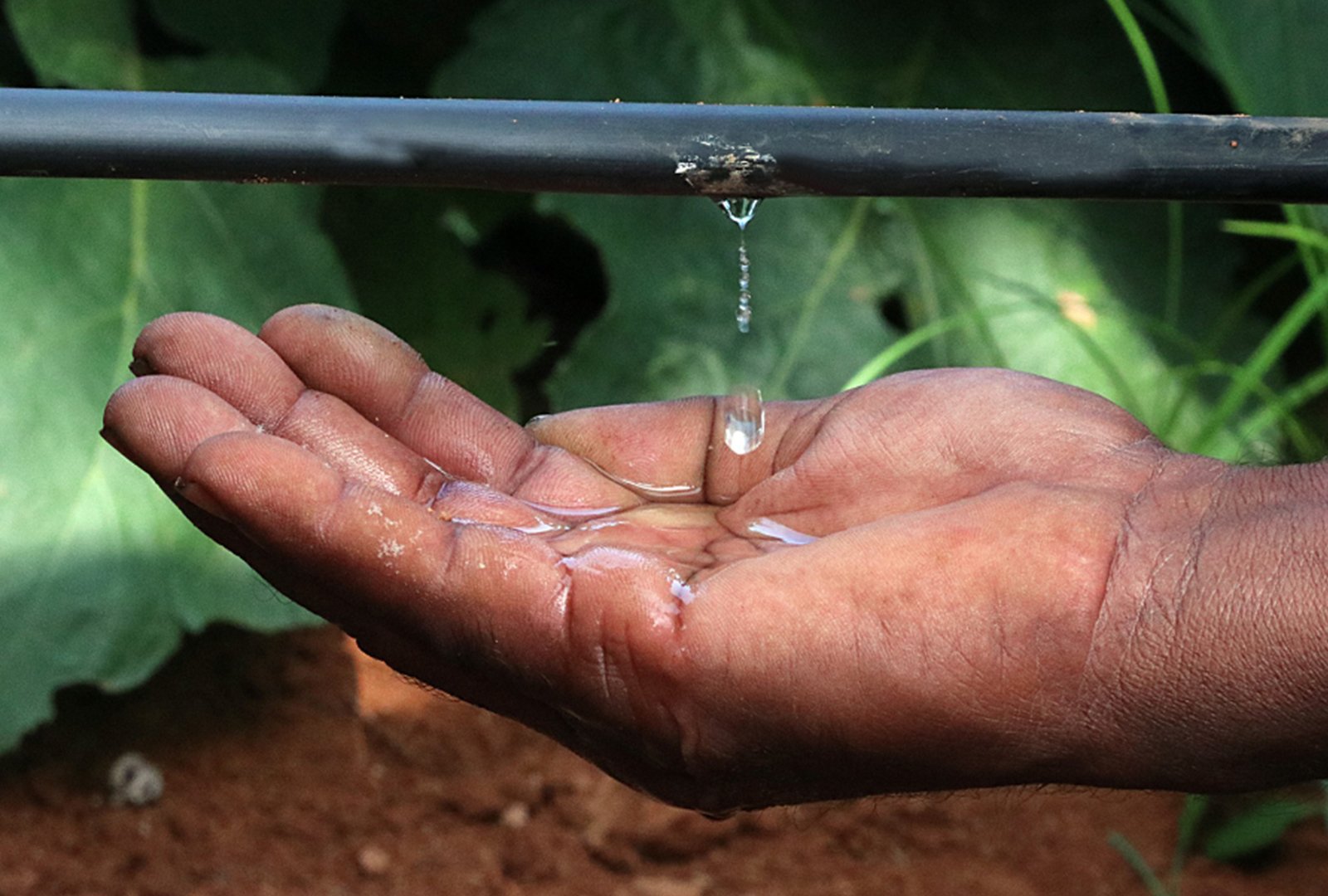 produtos irrigação 2
