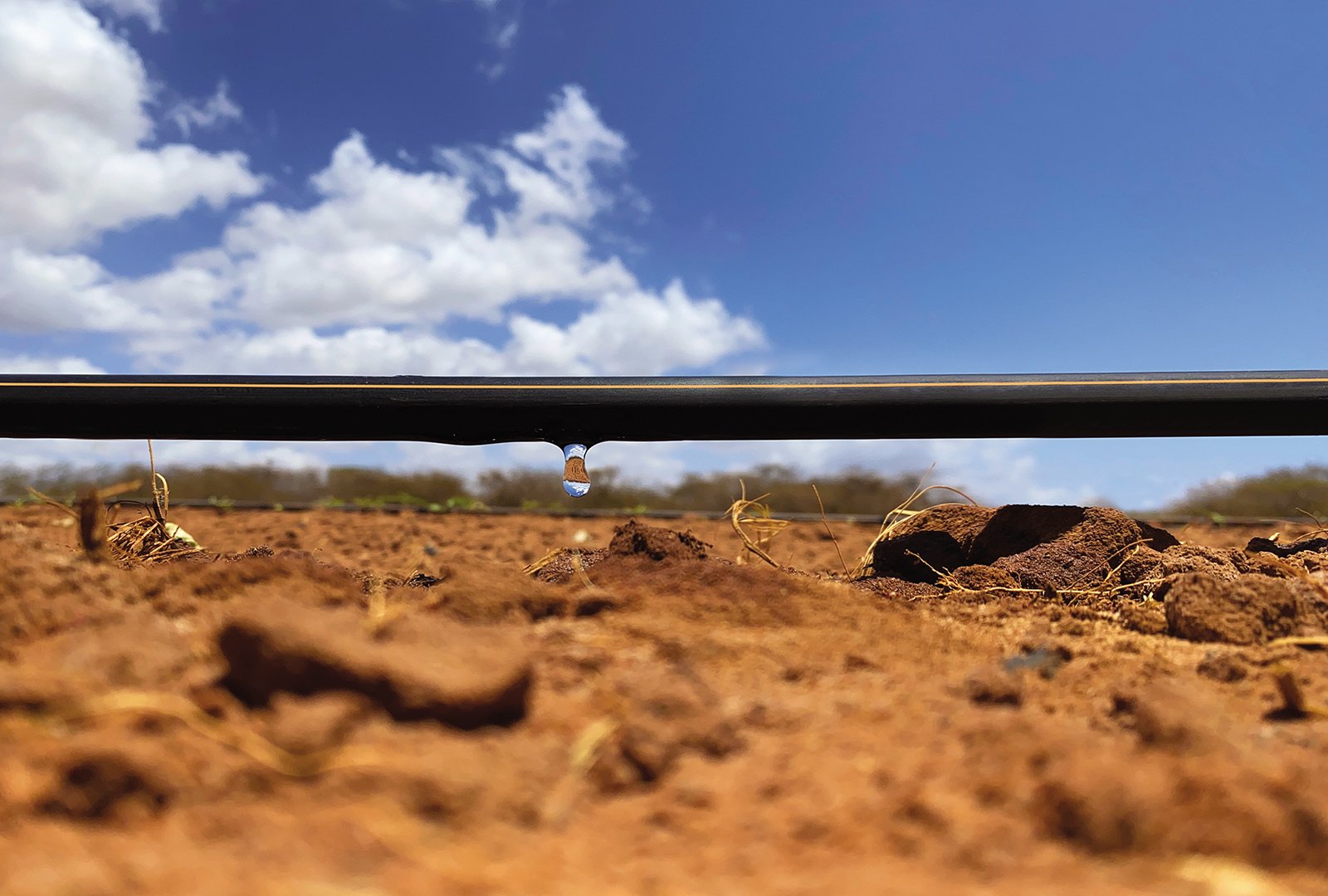 produtos irrigação 5