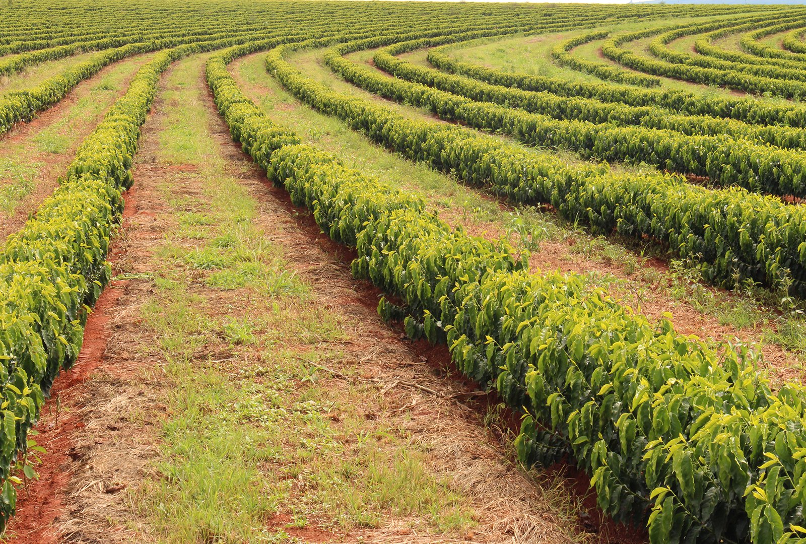 produtos nutrição 3,1
